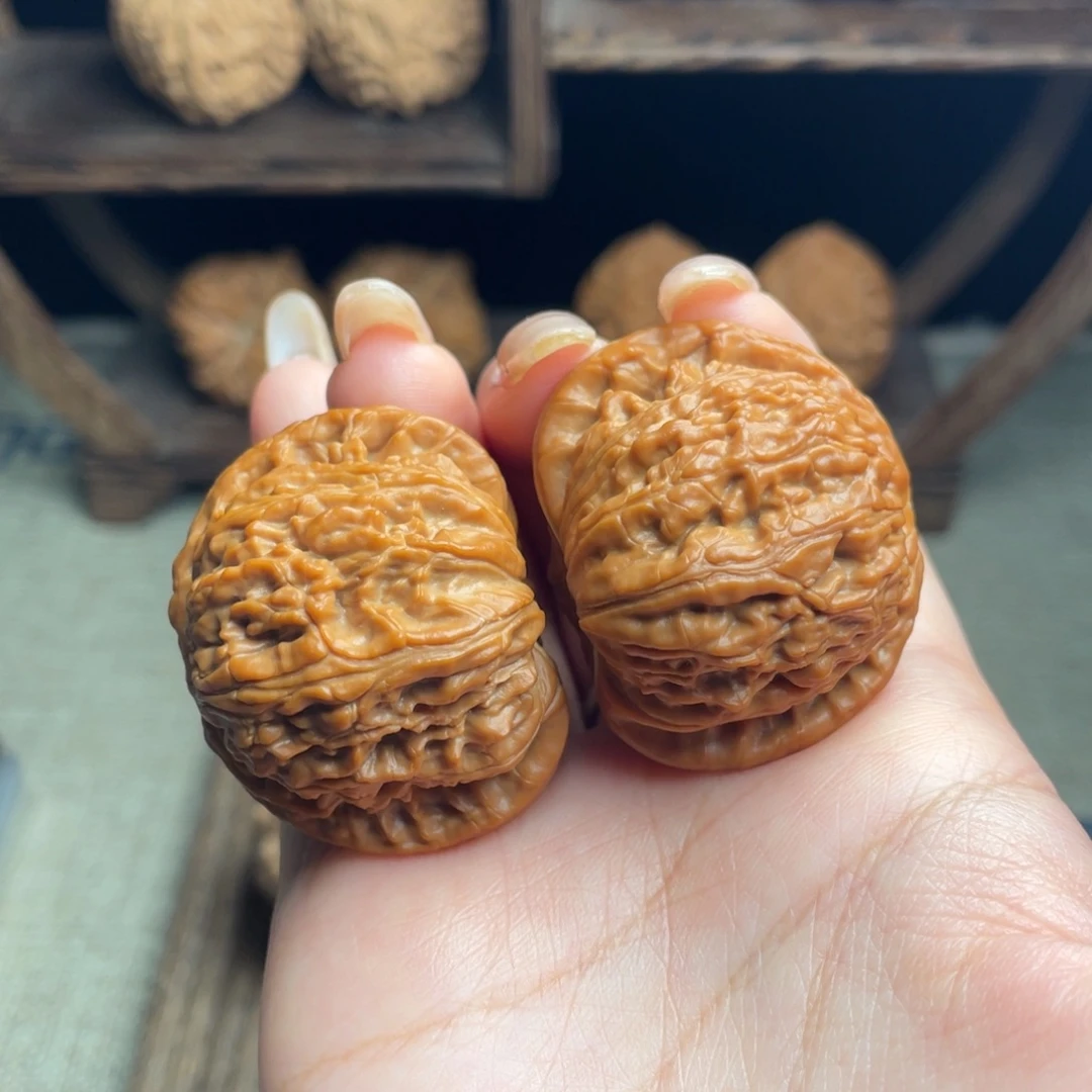 万***我木质白狮子40 全品打底