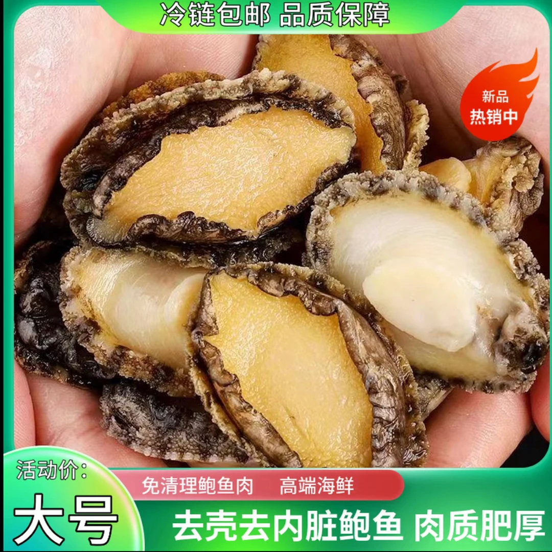 新鲜大号5 - 6厘米精选鲍鱼肉现剥个大饱满口感劲道顺丰冷链 海鲜