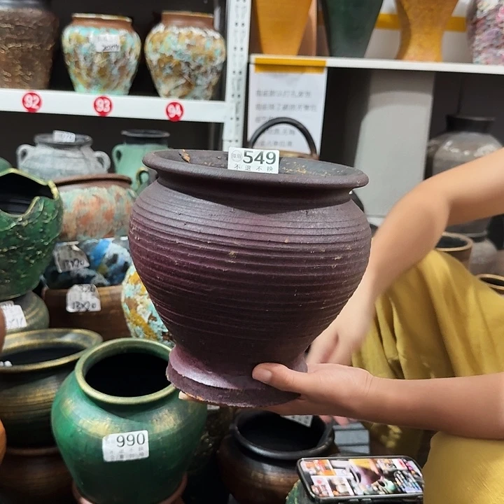 紫色鱼尾高度19口径19