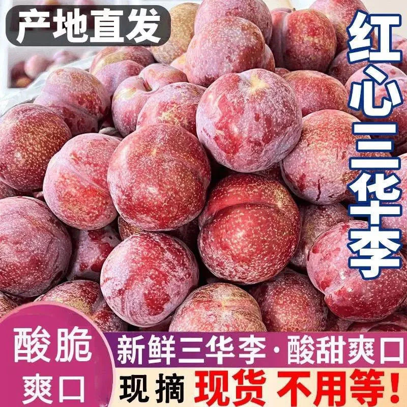 红心三华李新鲜当季水果酸脆爆汁孕妇爱吃
