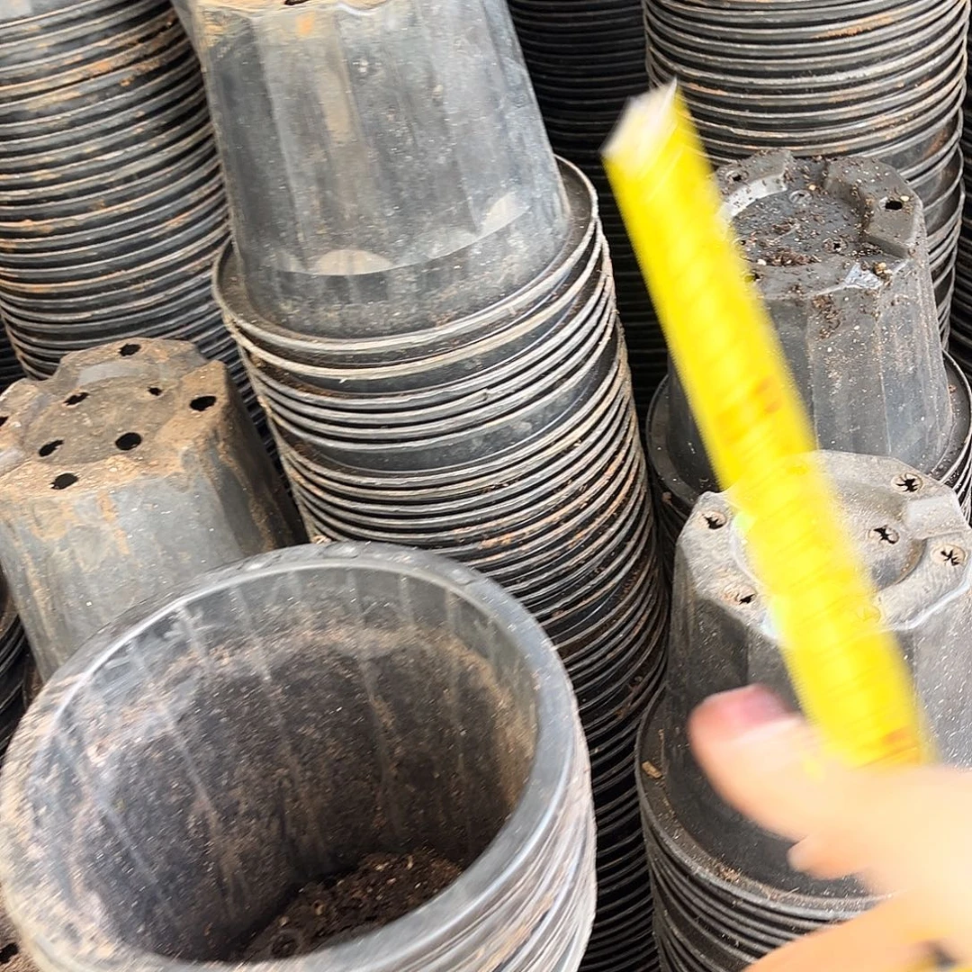 旧口径20高18黑砖盆20个