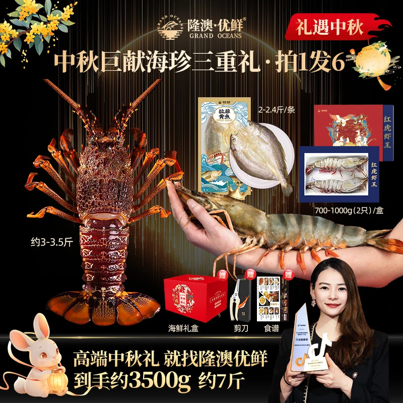 【中秋巨献.海珍三重礼】隆澳 特大澳洲龙虾 特大红花虎虾王 大黄鱼