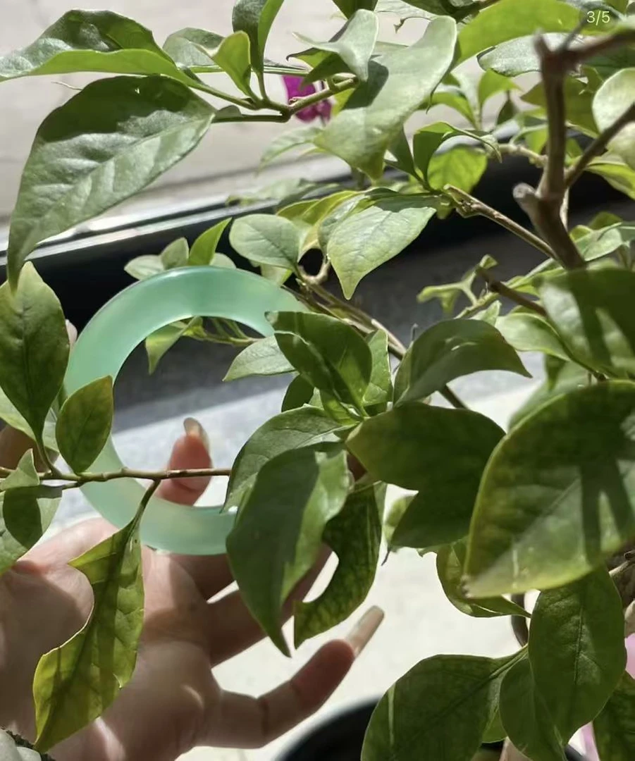 主播推荐时尚镯子腰佩