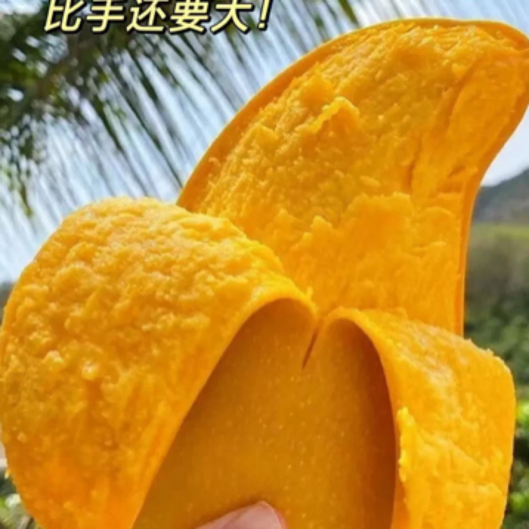 海南金煌芒果5斤8斤香甜多汁皮薄肉厚新鲜采摘热带水果顺丰包邮