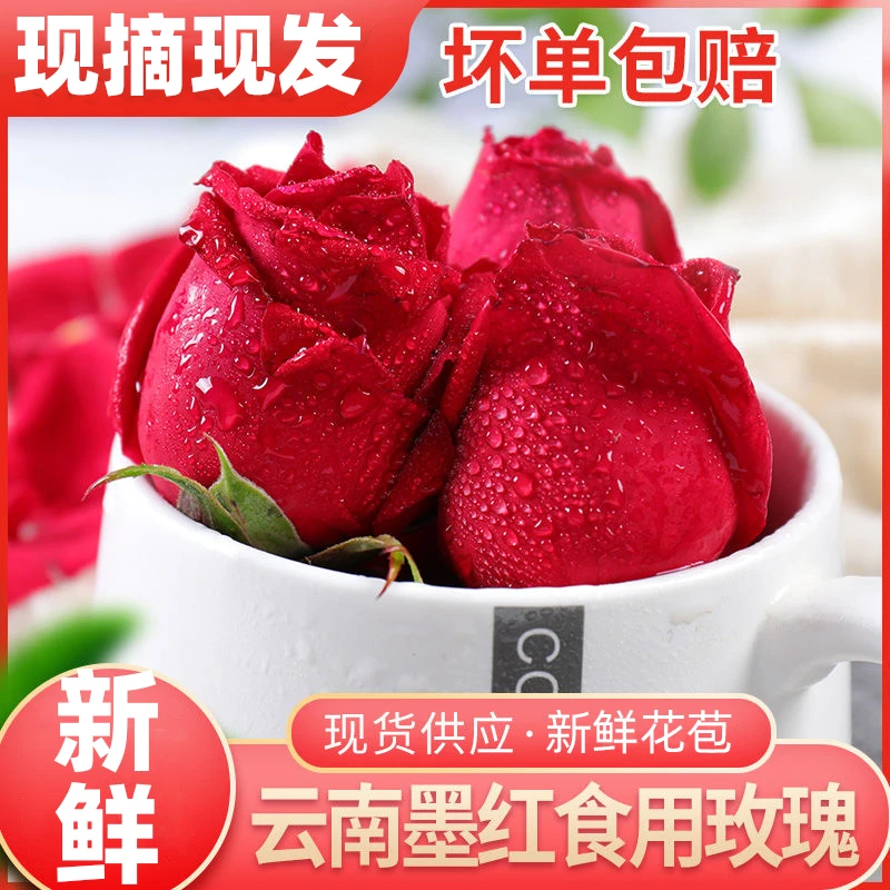 双12可食用玫瑰花新鲜墨红玫瑰鲜花云南泡醋专用泡酒花苞玫瑰醋