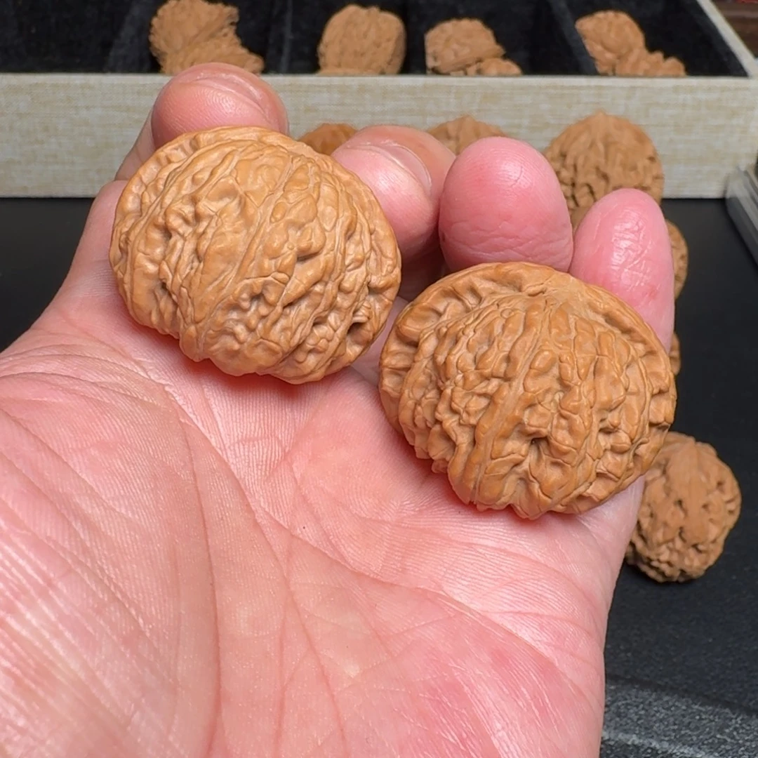 把件文玩核桃白狮子 尺寸37+