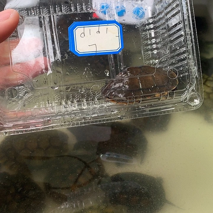 哈哈哈哈哈哈哈哈哈哈哈号