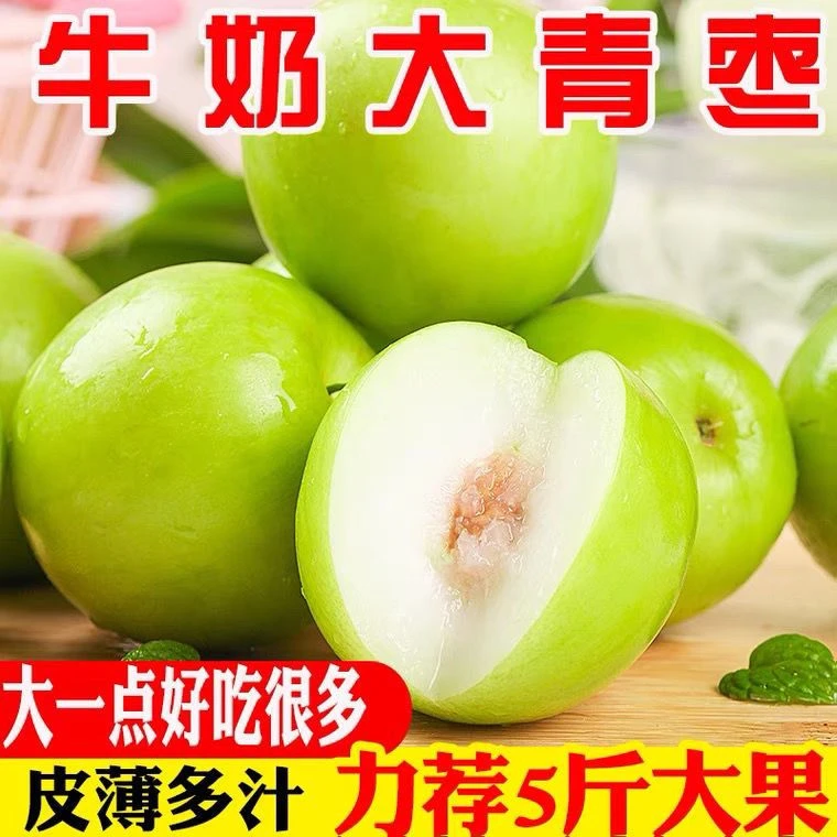 福建牛奶贵妃青枣