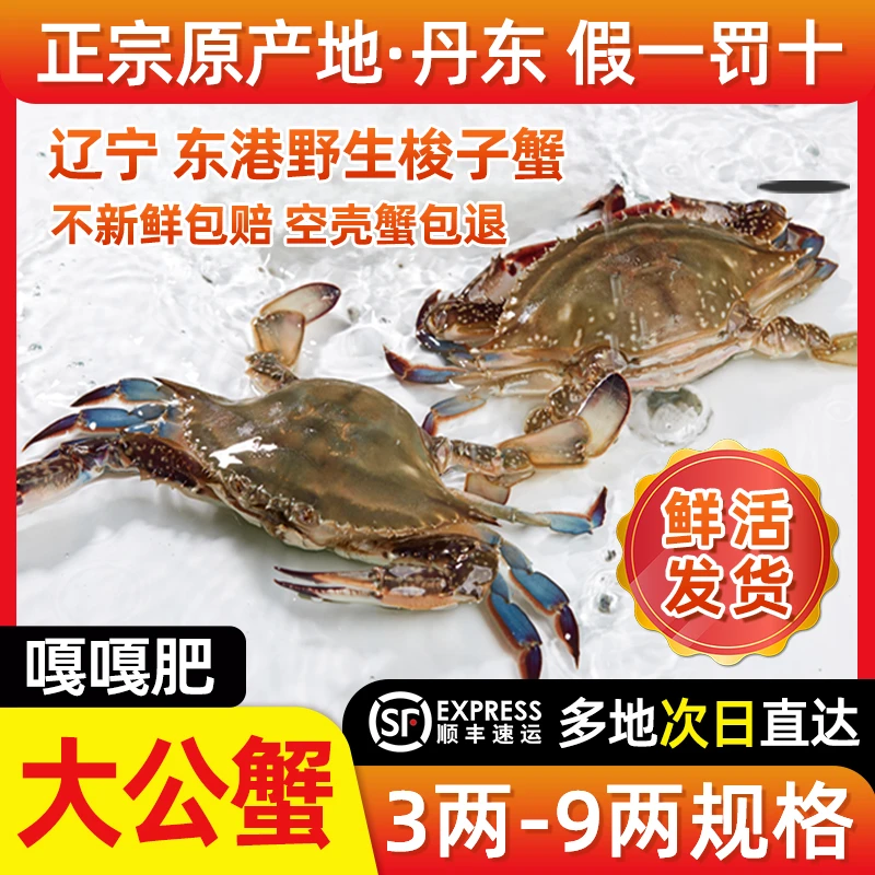 丹港红丹东东港野生梭子蟹大公蟹顺丰3斤6-8只/4-6两【保鲜不保活】