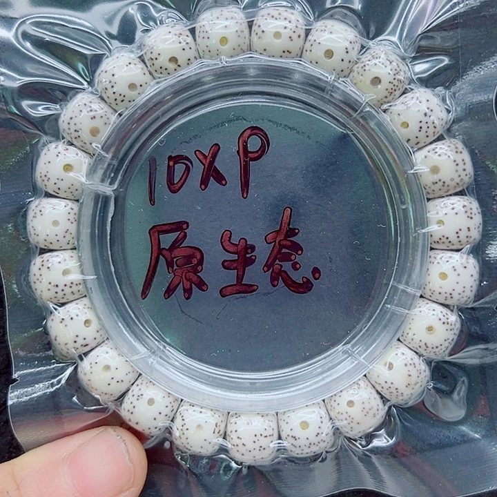 星月菩提吊坠10尺寸
