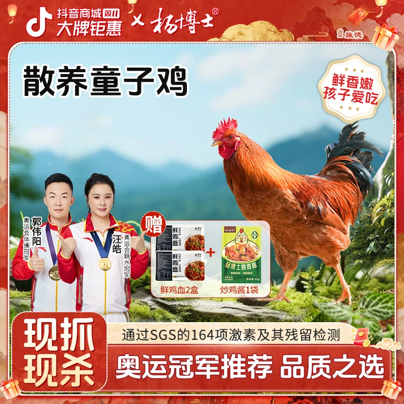 【孩子爱吃童子鸡】杨博士土鸡童子鸡皖南深山散养 包冰率不含冰