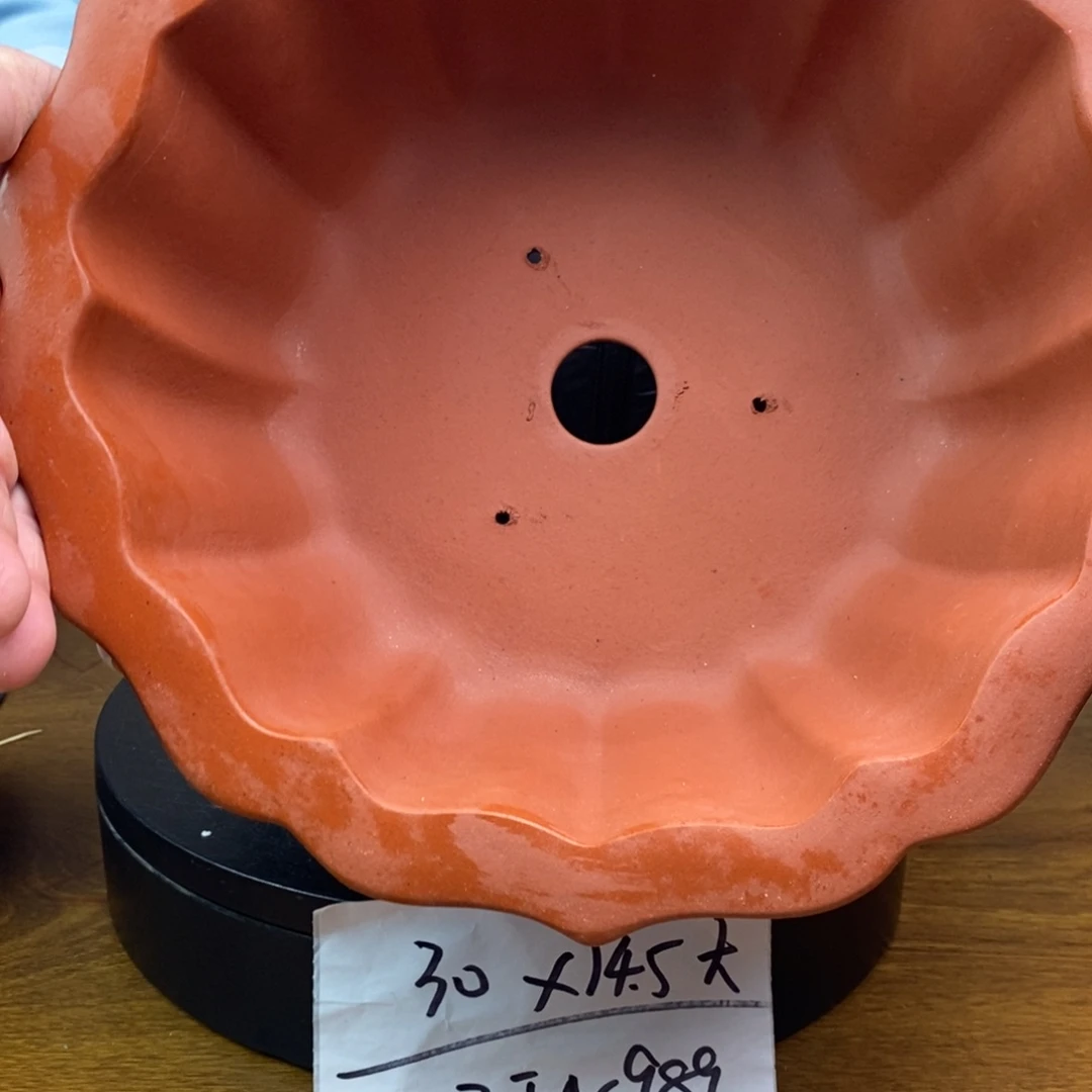 紫砂货号一只JN989