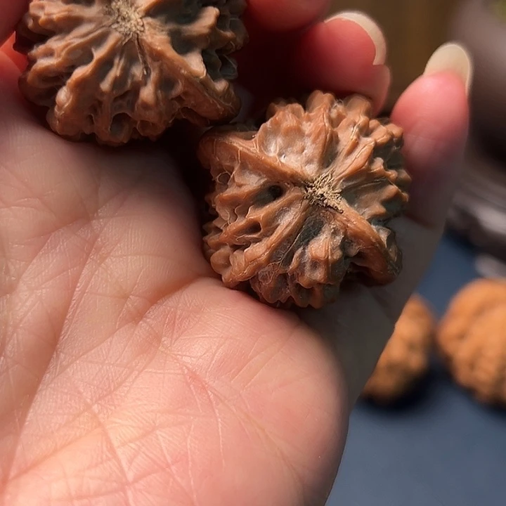 早***吨木桃和大红灯笼也有