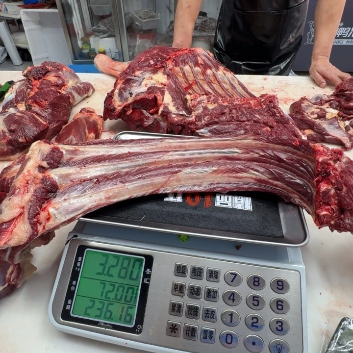 12个月中国大陆马排骨