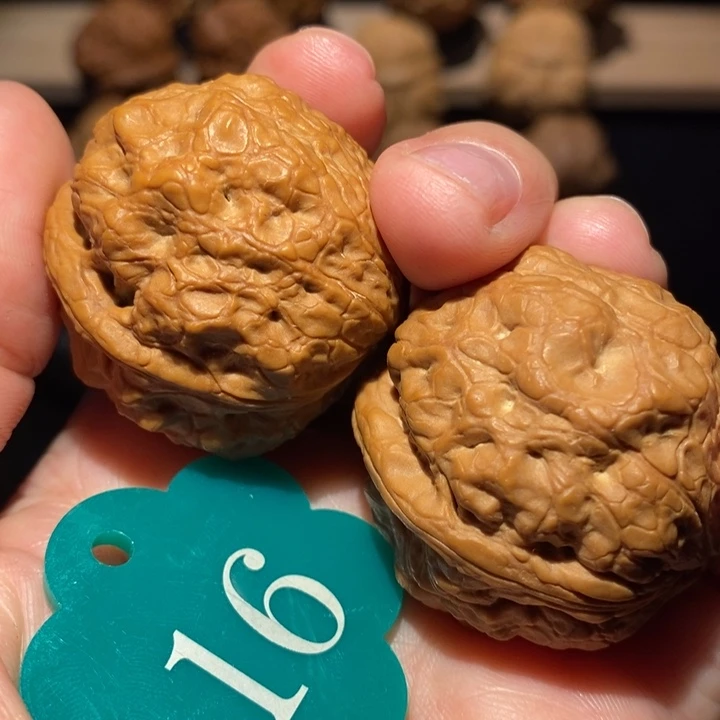核桃金蟾舍利核，桃3.7