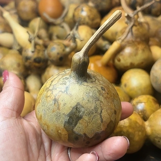 ✨****✨葫芦葫芦葫芦葫芦