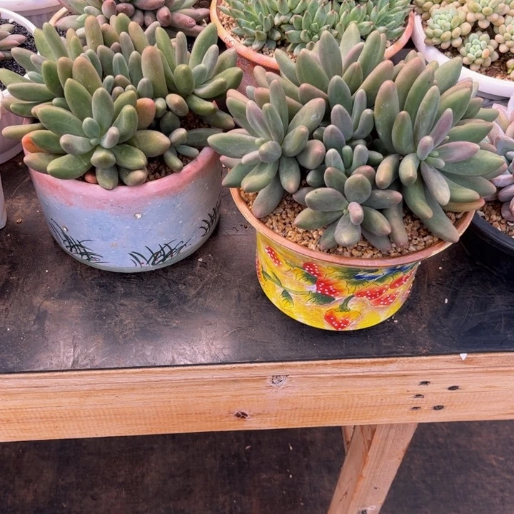 美好就是这么多美好回忆