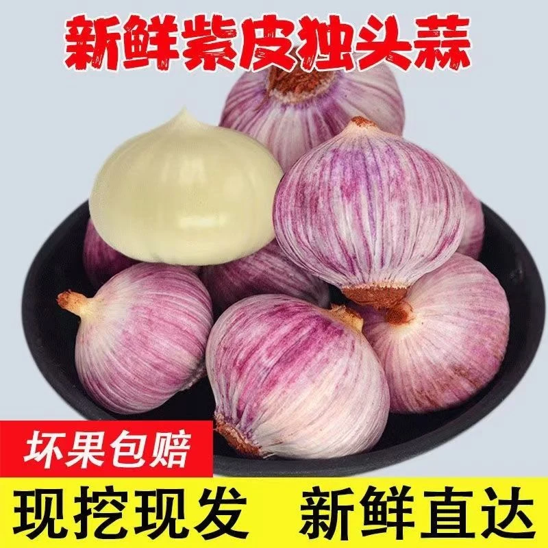 【超低价】云南正宗新蒜独头蒜新鲜现挖紫皮独头0.5/1/2/3/5斤包邮
