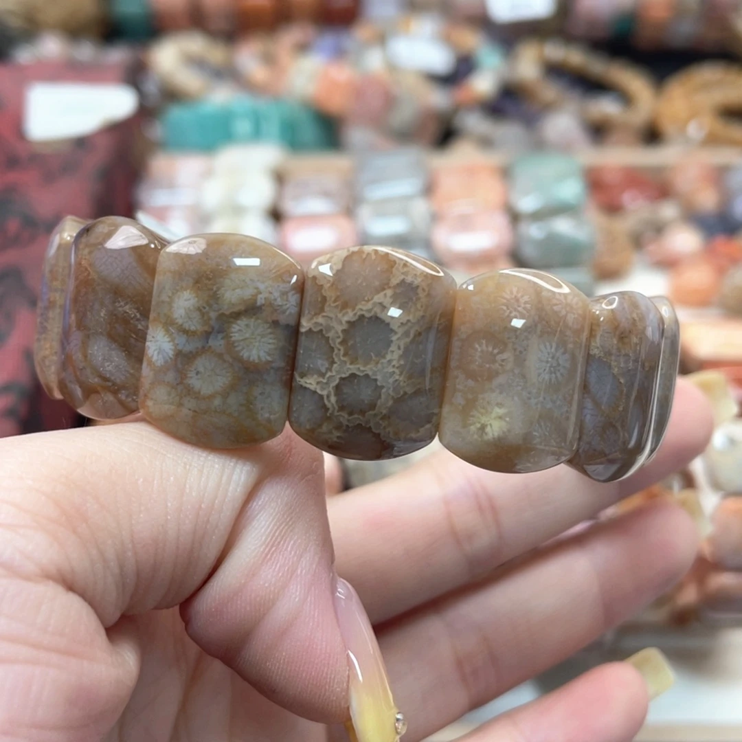 未镶嵌手链硅化珊瑚（珊瑚玉）眀****)118