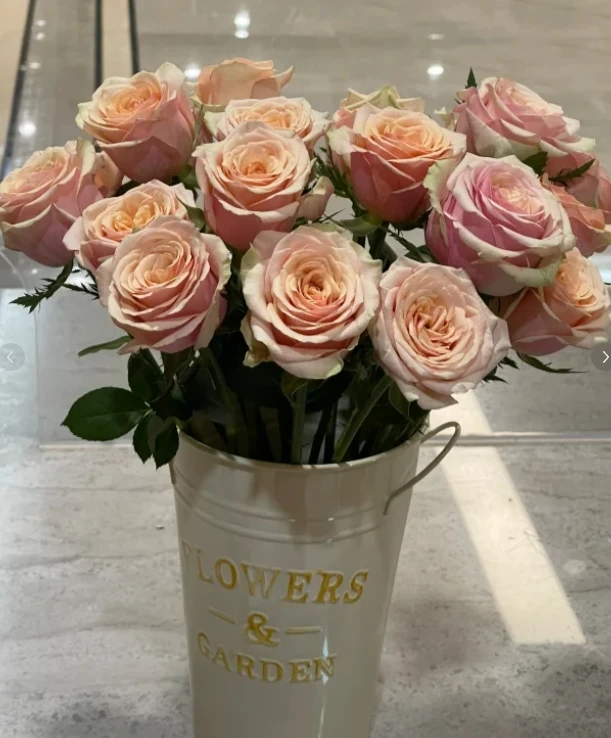 【新疆花之溪】迪威娜玫瑰 17-20枝（5枝不售后）