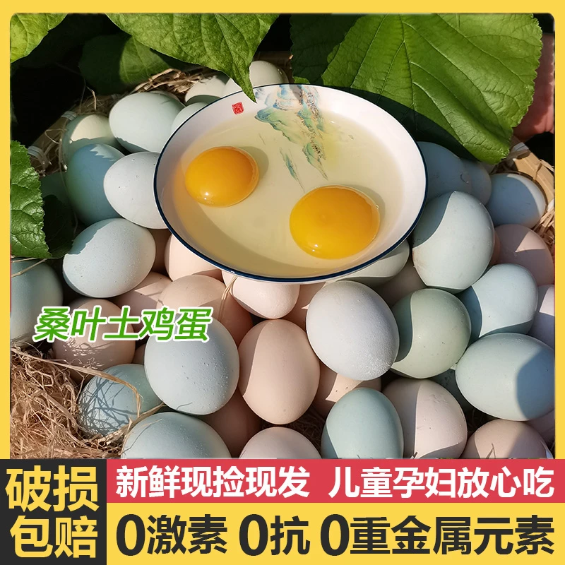 新鲜现捡桑叶土鸡蛋农家柴鸡蛋散养蛋清香儿童月子鸡蛋无抗礼盒