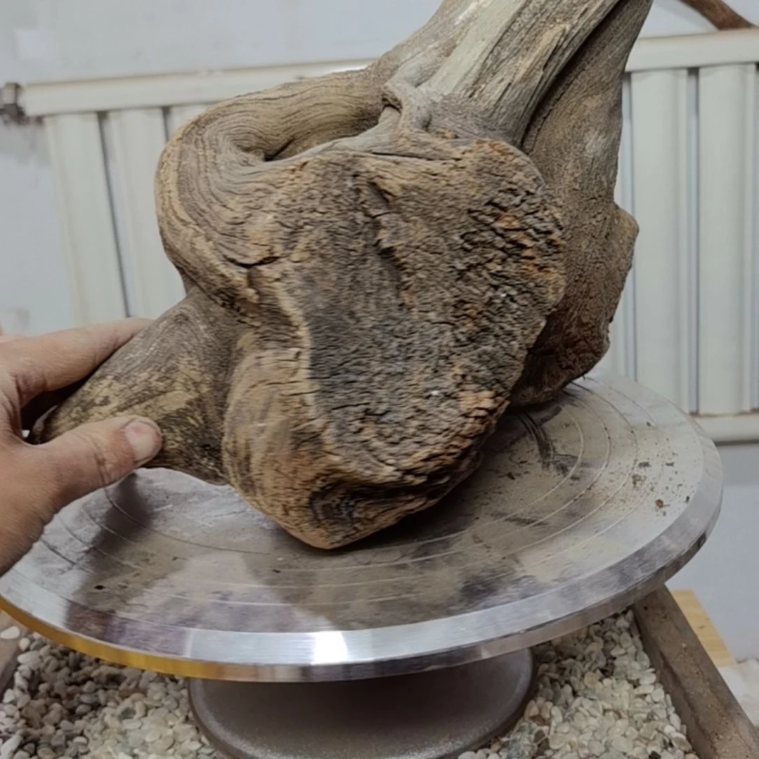 檀香紫檀（小叶紫檀）培****工