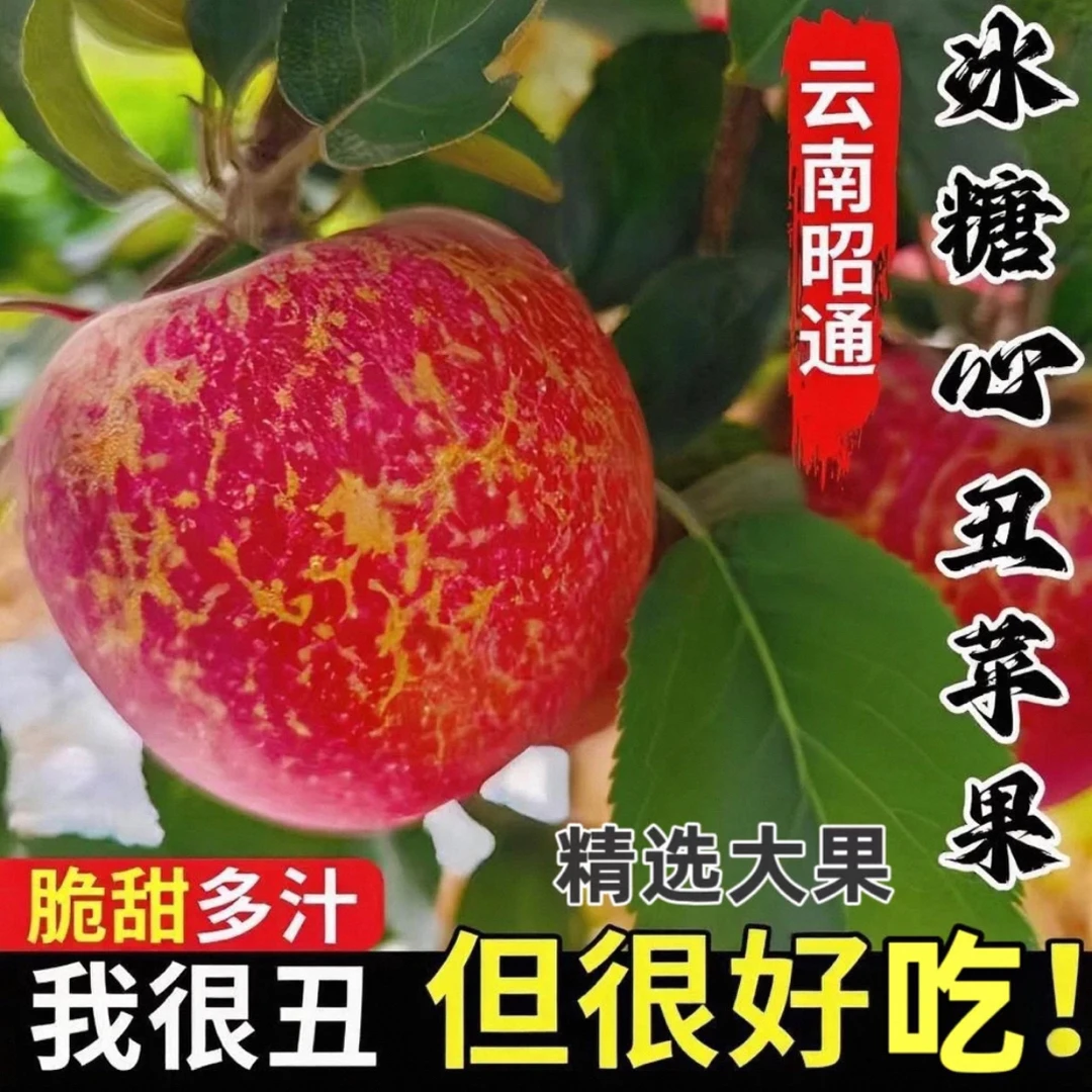 正宗云南昭通冰糖心丑苹果新鲜现摘现发脆甜多汁