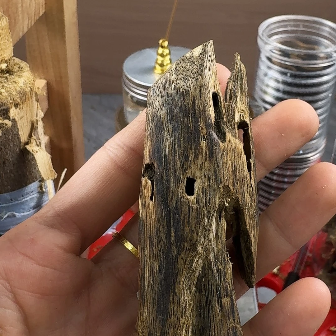 香料绿奇楠虫漏陆河18克