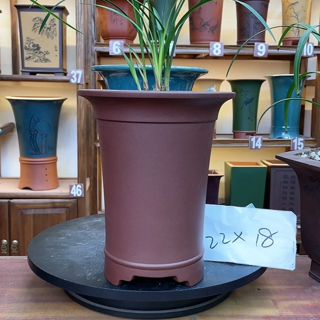 【闪购商品】紫砂花盆兰花455855555668855