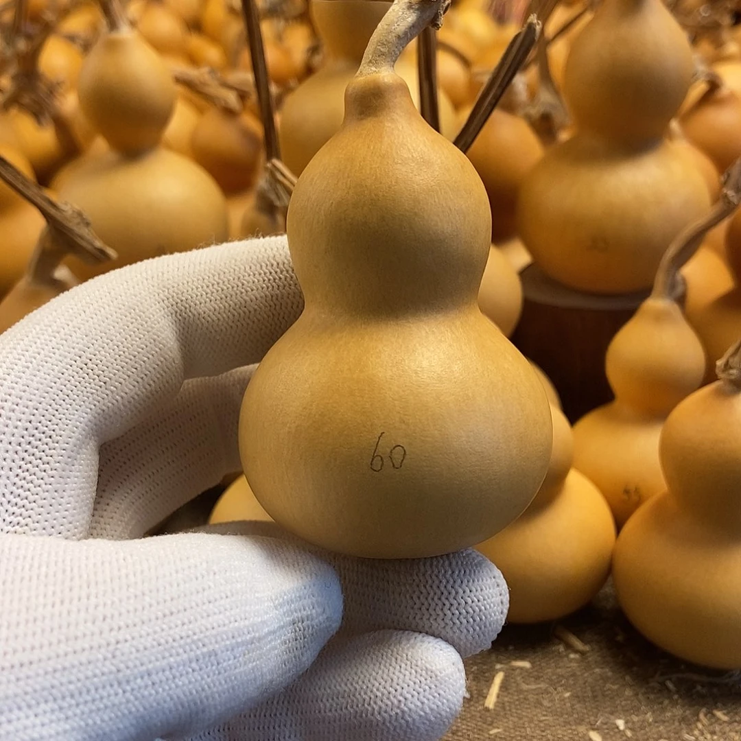 文玩葫芦 完美主义者 慎拍60