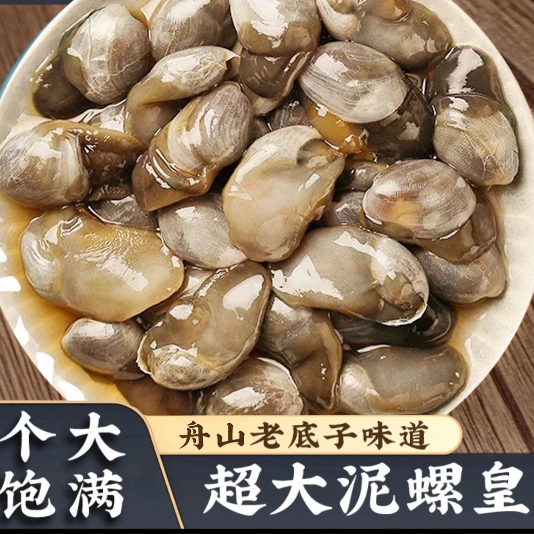 T 10A泥螺皇巨无霸特大泥螺舟山特产风味 开罐即食
