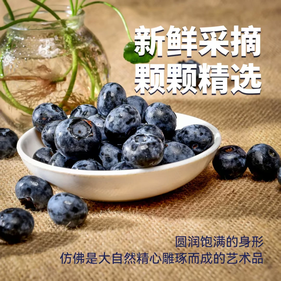 CC2025年云南花香蓝莓 顺丰空运 现采现发 非进口蓝莓