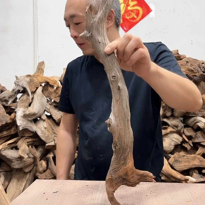 柏木静*勇我们的生活是一场游戏吗