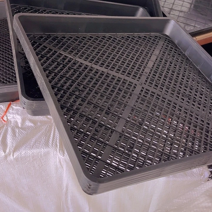 育苗盘41-41-6一组4个