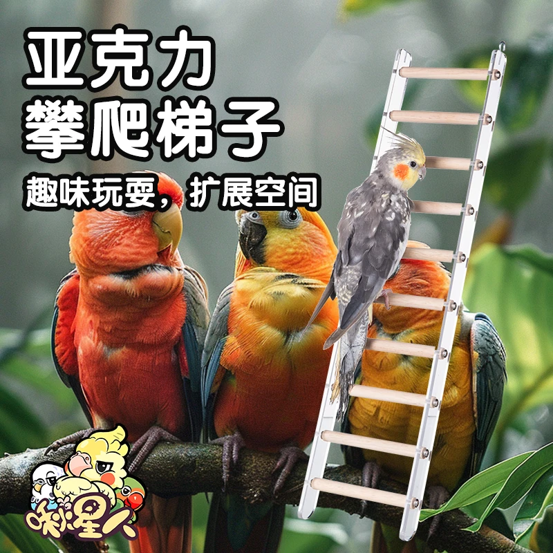 九九小鹦鹦鹉亚克力梯子玩具鸟笼云梯爬梯牡丹虎皮玄凤攀爬梯