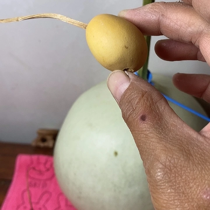 蒋***呀青皮手把件葫芦摆件