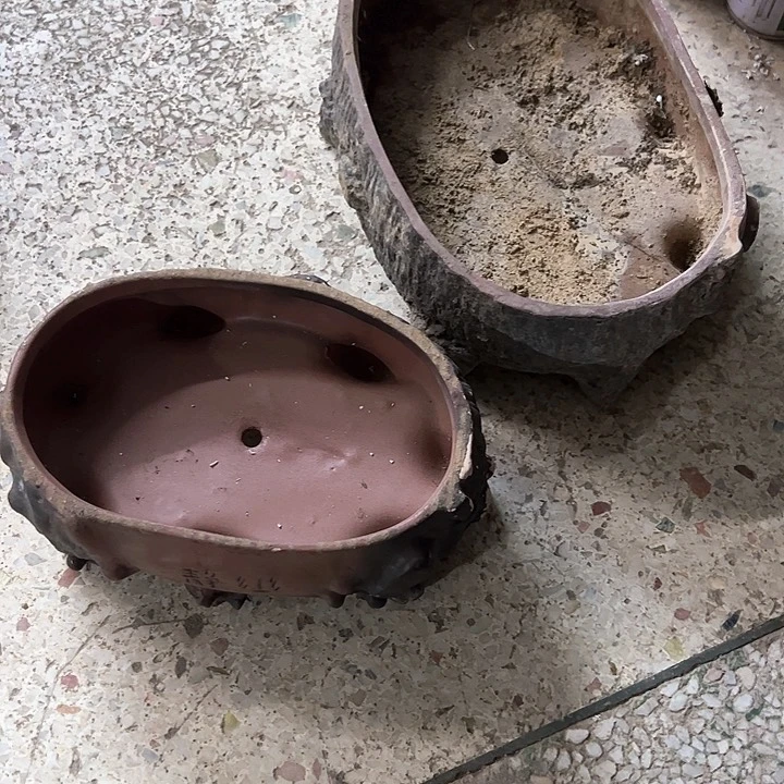 红陶用****6？。。。。。。。。。？？