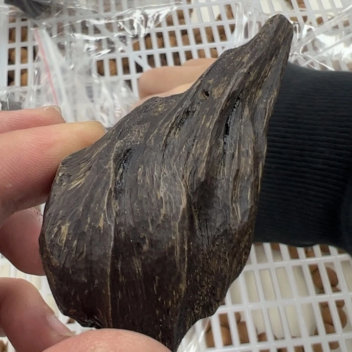 白玉菩提手串黑色521