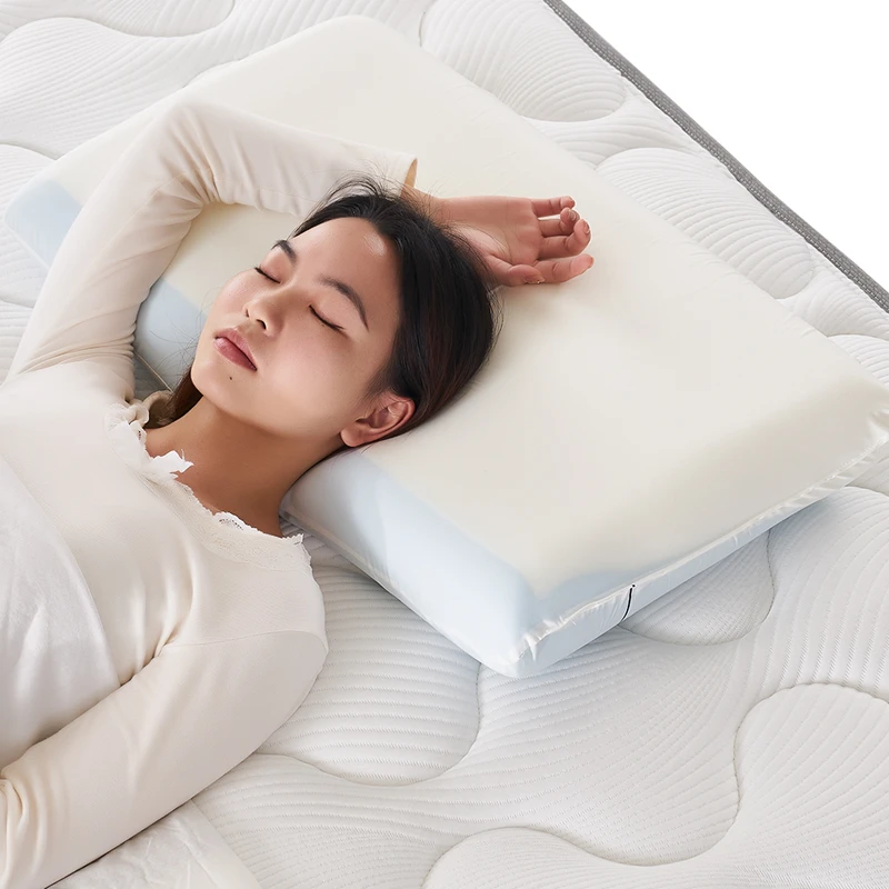 【明星同款】独立印象深睡pro记忆枕助眠护颈慢回弹记忆枕礼盒装