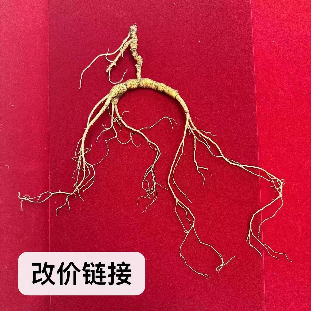 长白山林下参野山参可泡酒煲汤自用送人佳品，改价链接，一单一拍