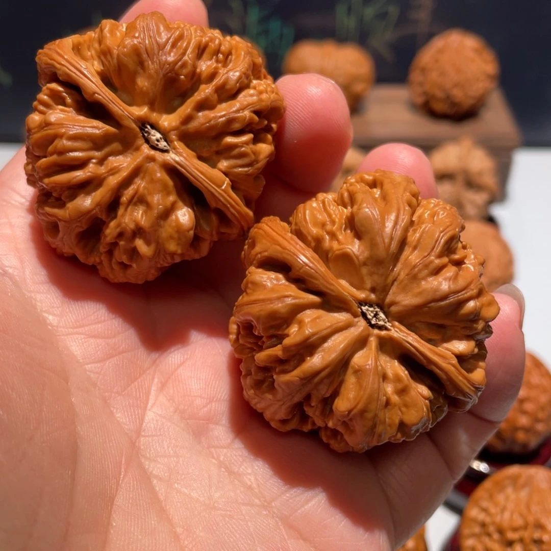 文玩核桃把件❷****遂大粗筋44