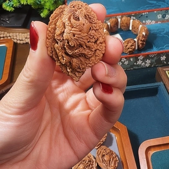 青尘本工粉丝专拍