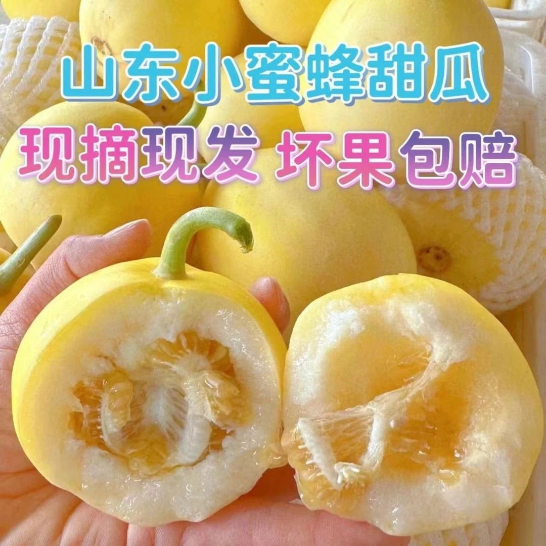 山东头茬小蜜蜂甜瓜皮薄脆甜香甜多汁自然成熟新鲜春季水果