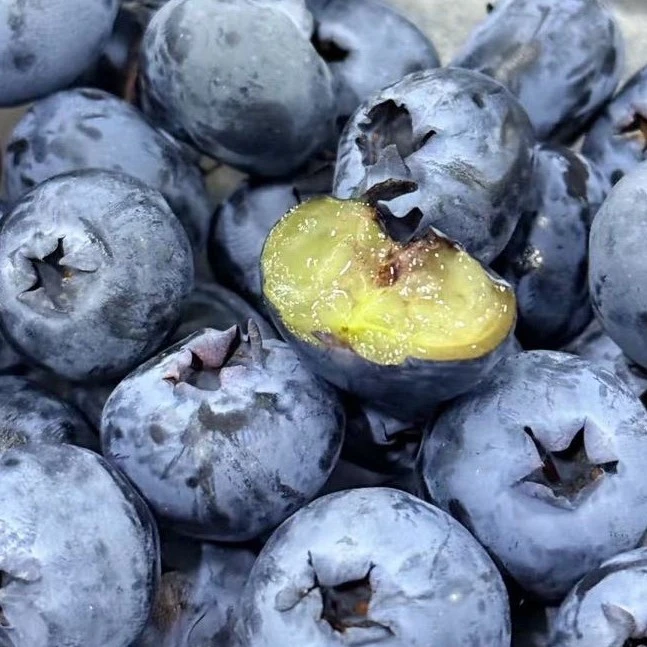 云南蓝莓 甜脆 果粉足 中果 14mm 一盒125g云南蓝莓云南省昆明市