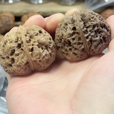 文玩核桃把件枯木蟾带彩41