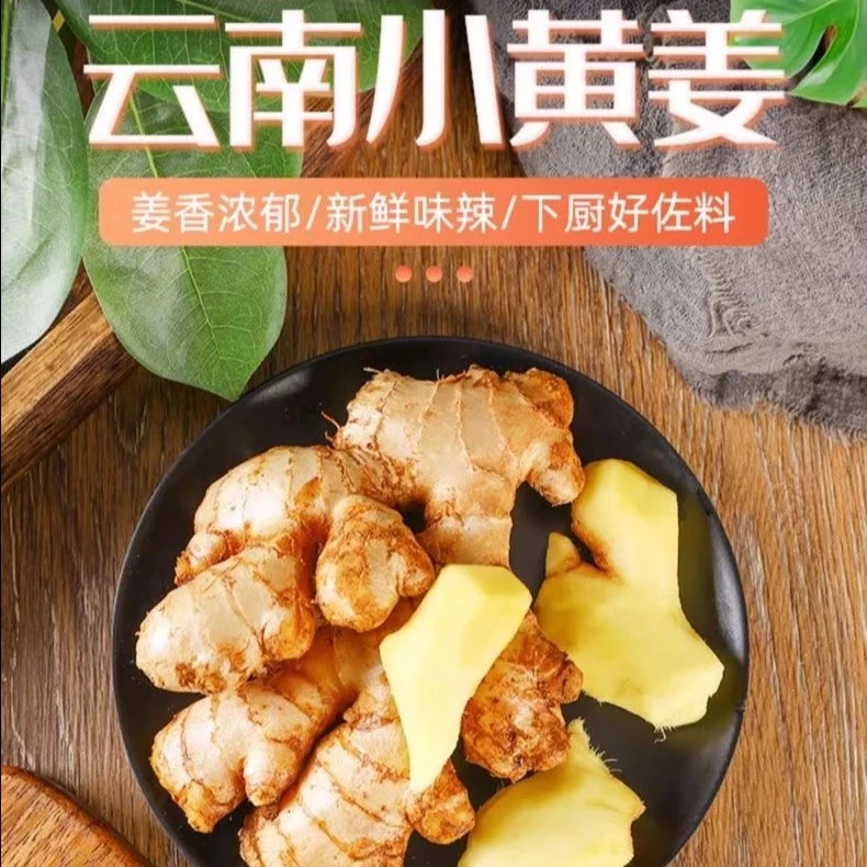 正宗云南小黄姜新鲜现挖山地种植香味采摘浓郁生姜精品婆婆