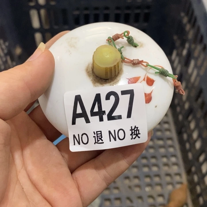 .****瓷片Zzzzzzzzzzzzzzz