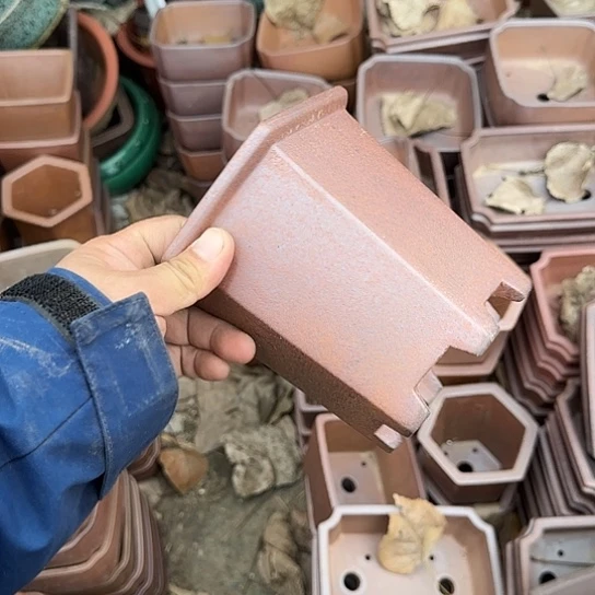 不去看书啊哈在寝室呢不来哦