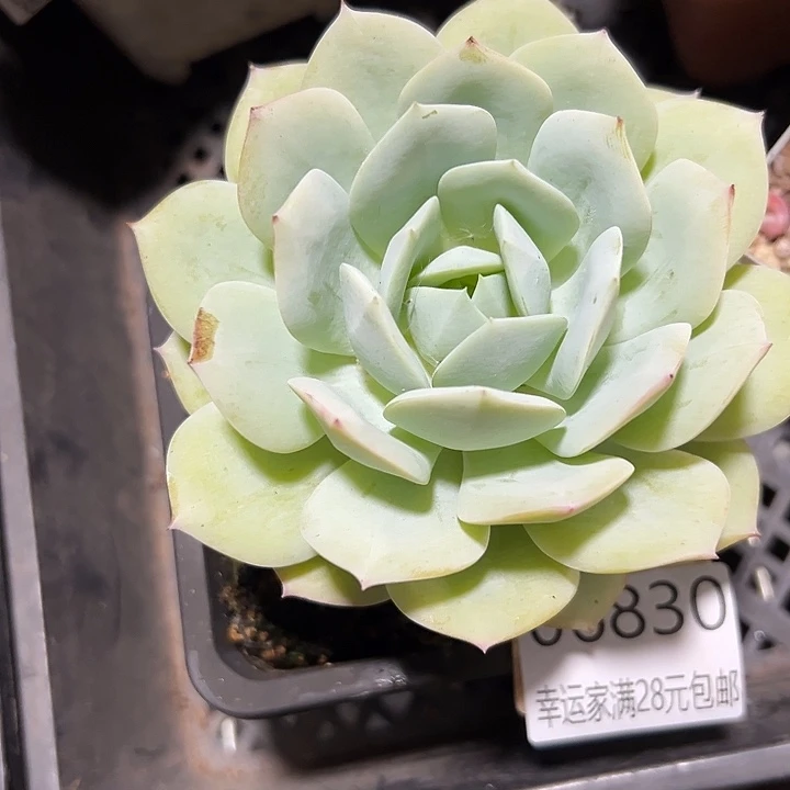 幸运的是我还没遇到