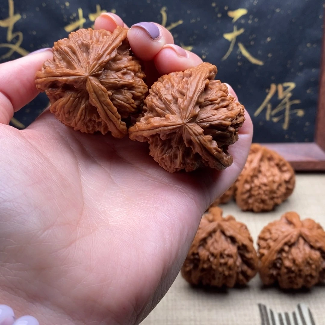 巨***.白狮子111111111